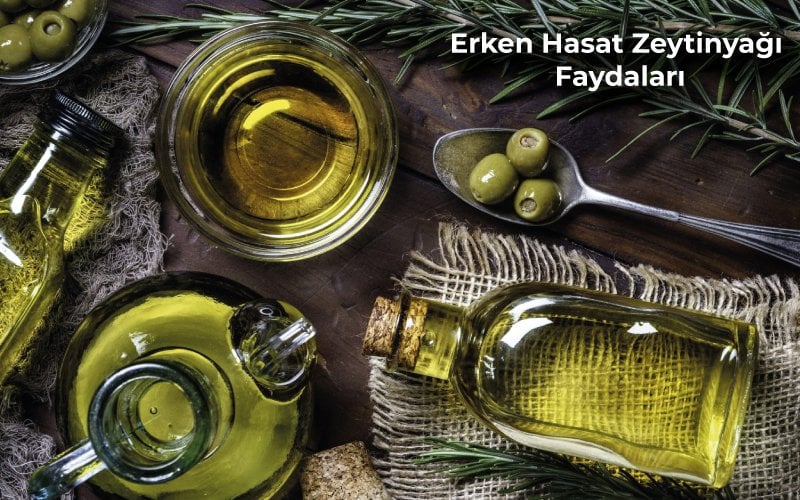 Erken Hasat Zeytinyağı Faydaları